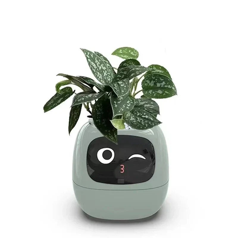 OktaMi - Smart Pot