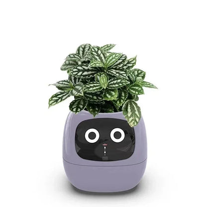 OktaMi - Smart Pot