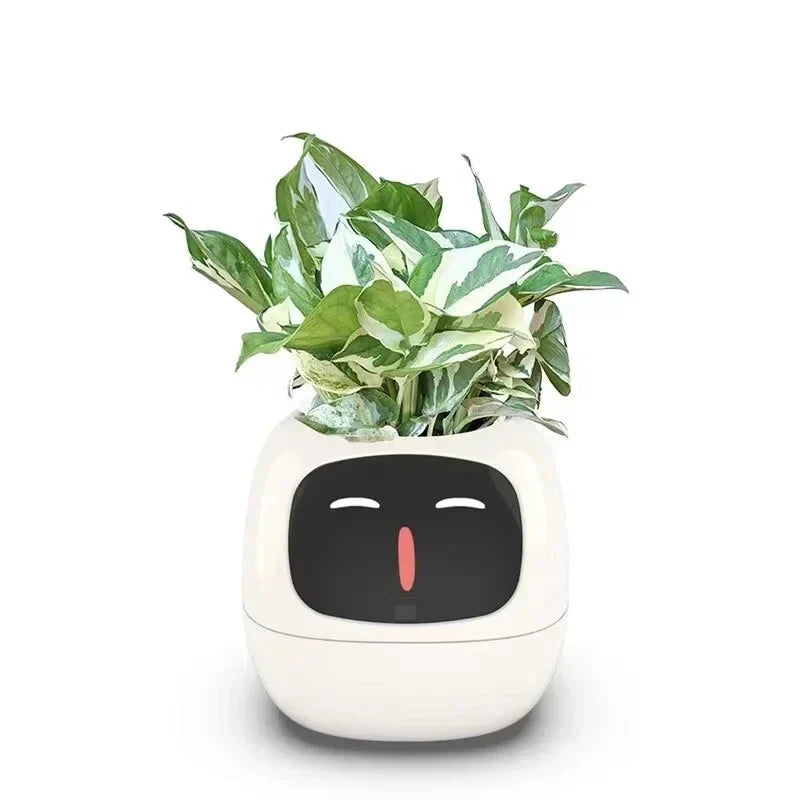 OktaMi - Smart Pot