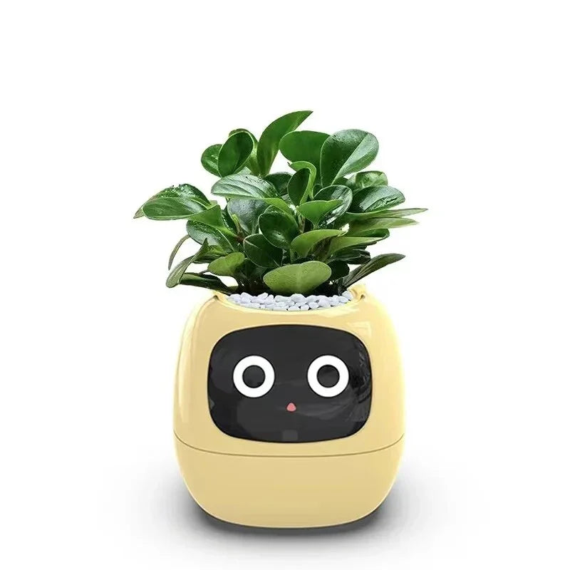 OktaMi - Smart Pot